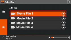 List all video files