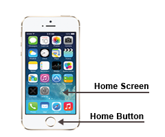 Displaying the Home Screen